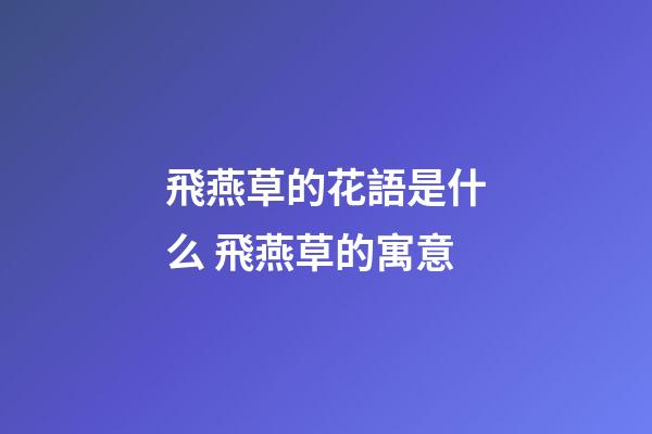 飛燕草的花語是什么 飛燕草的寓意
